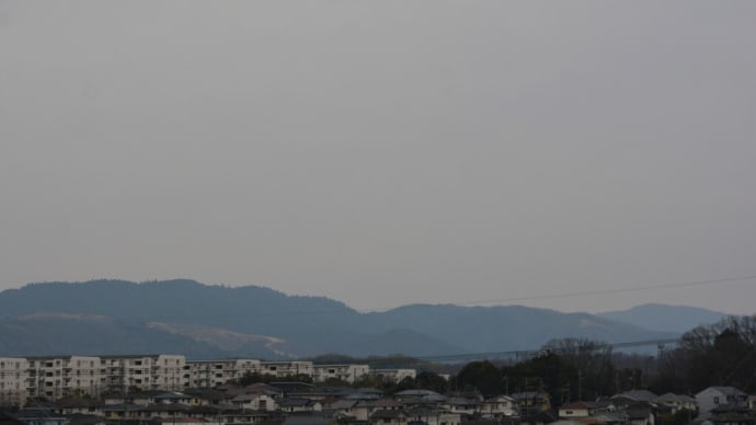 月ヶ瀬・代官坂の梅は満開