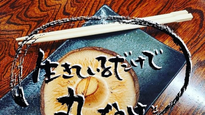 癒される言葉