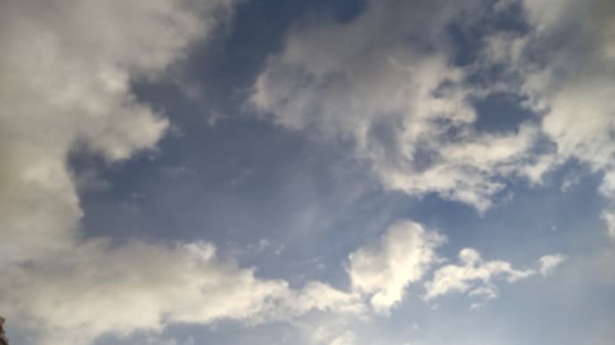 自ら動くことで新しい風は吹きます