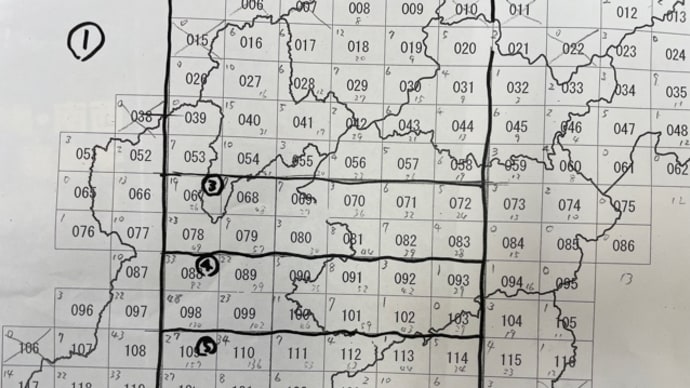 戯れ言 06/21 参院選公示日前日