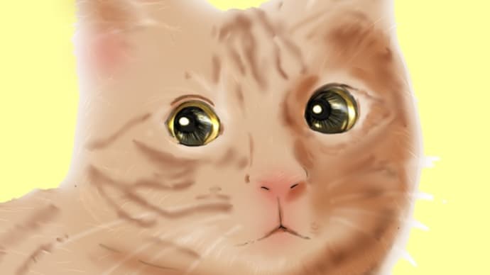 猫ちゃん♪