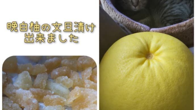 今年も文旦漬け作ってみました