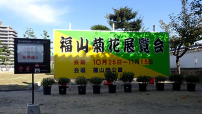 第68回福山菊花展覧会(令和5年10月25日から福山城天守前広場で開催)