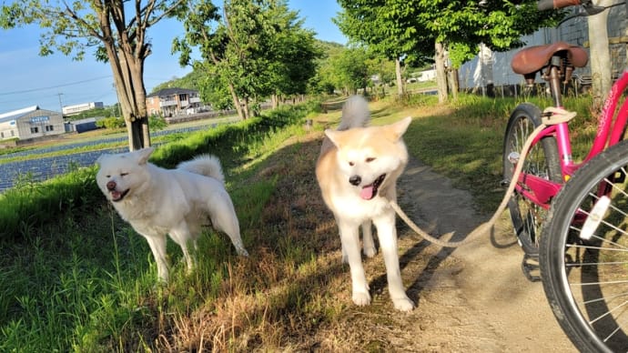 ゴールデンウィークのお問い合わせに感謝します✨🙏✨