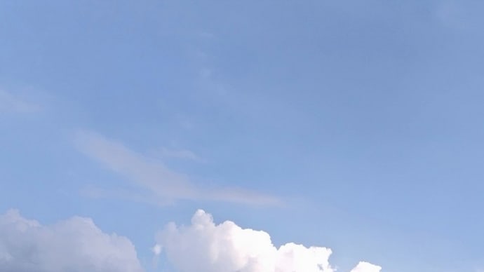 残暑続く、お墓参り