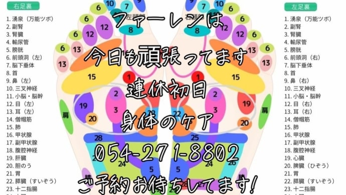 頑張ってお仕事