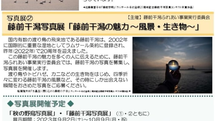 秋の写真展の展示作品を募集しています!