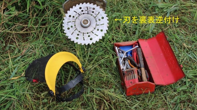 ドジ失敗記! (^O^)/~~♪