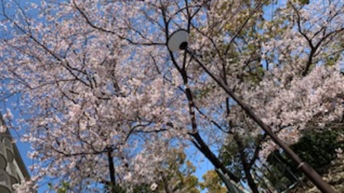 目を離して心を離すな