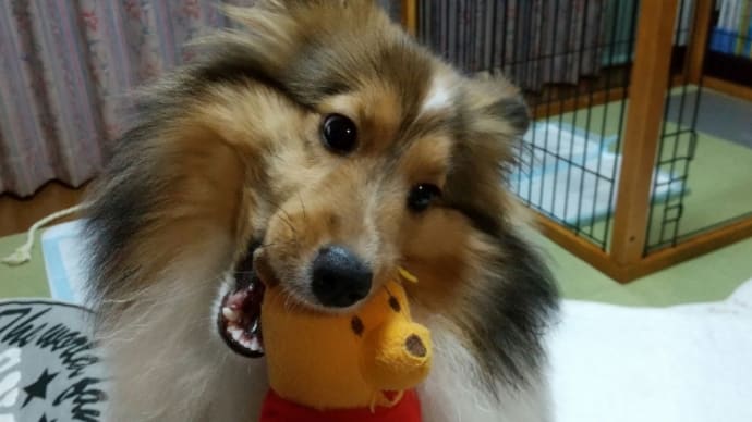 助けて~😂