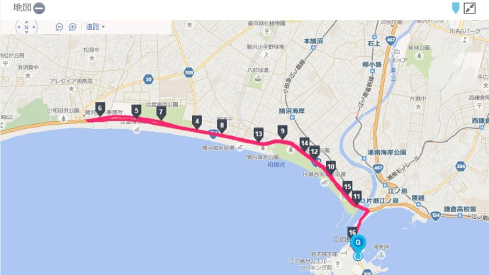 藤沢市民マラソン10M