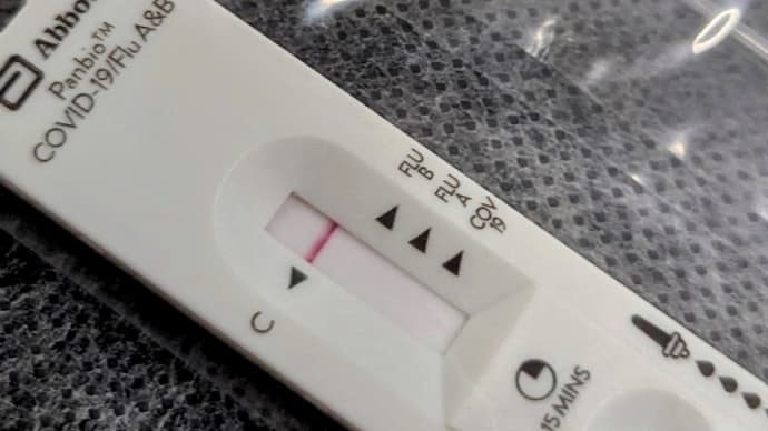 (@_@)思いがけず、38.2度の体温からの復活~