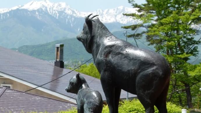 初夏の北安曇野・・・大町山岳博物館で・・・幻の高山鳥ライチョウを見た