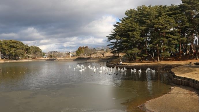 1/4（水）矢吹町　大池公園