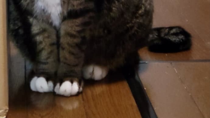 明日は我が身にならぬよう、、