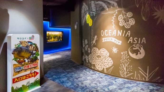 【川崎水族館】カワスイ オセアニア・アジアゾーン No.7~9