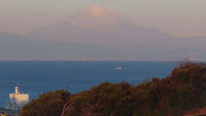 今朝も富士山に癒されて~