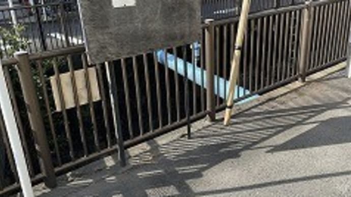 八王子市管理の道路に雑草が伸びていたので。。。