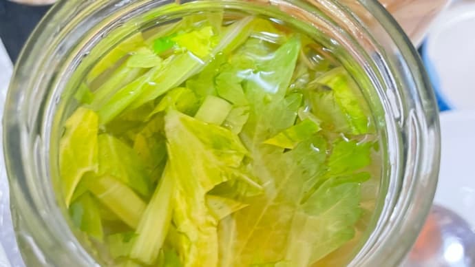 甘酢でさっぱり惣菜 2点 医食同源
