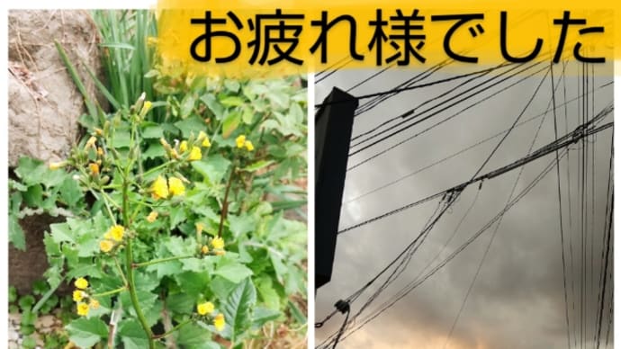 いざ! 土曜日Bクラス(1月前半のまとめ)母娘編 ①