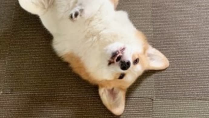 間に合った~!