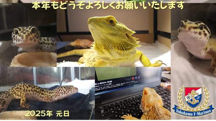 2025年1月1日