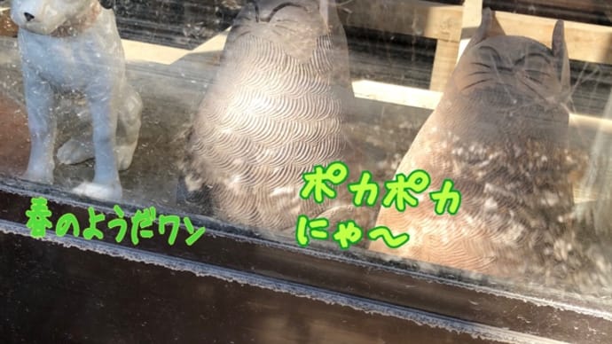 魔窟へGO!したらワナが待っていた話