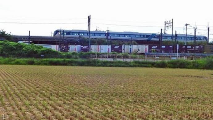 田んぼの脇に・向こうに