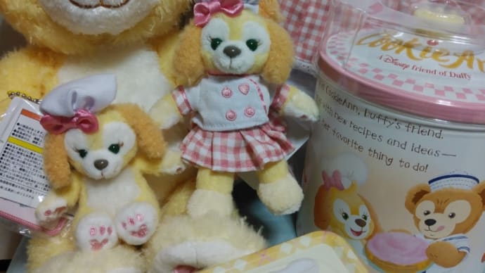 我が家にクッキー・アンちゃんがやってきた❤