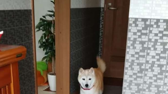 クリンへの想いは尽きなくて・・・32