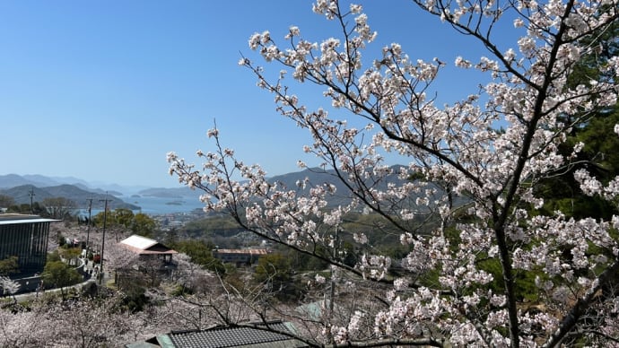 桜七分咲き、尾道千光寺公園へでかけてみた