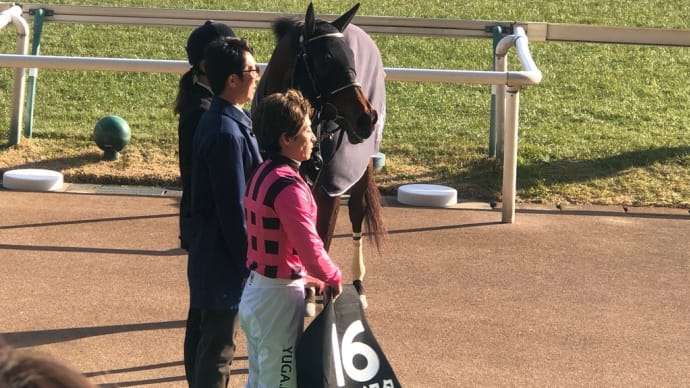 銀蹄Sコンクイスタ優勝しましたー