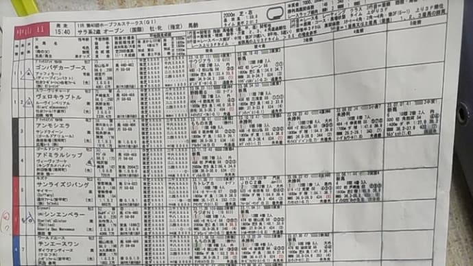 ホープフルステークス(G1)🐴先予想