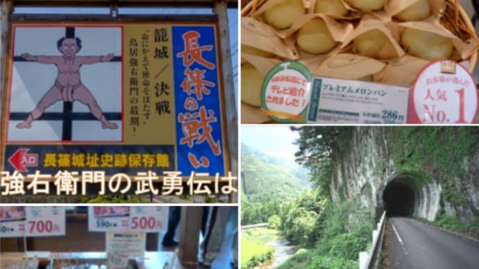 城をめぐって繰り広げられた織田・徳川連合軍の鉄砲と馬防柵
