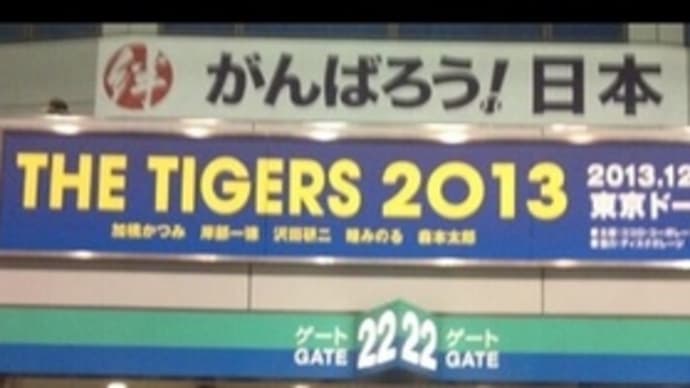 《THE TIGERS 2013》
