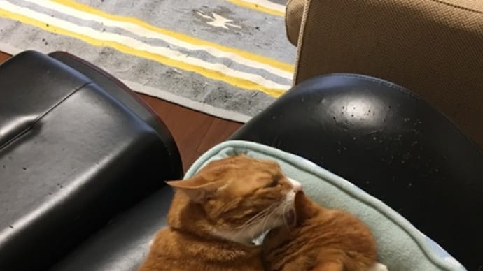 寒い秋
