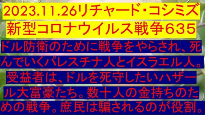 2023.11.26リチャード・コシミズ新型コロナウイルス戦争635動画を公開します。