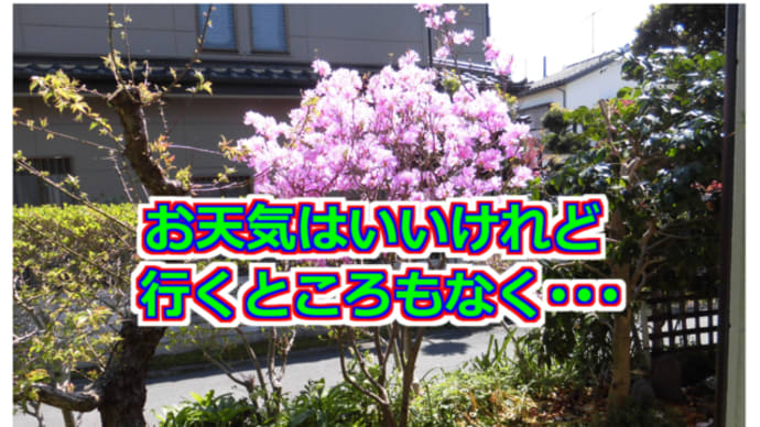 お天気はいいけれど、行くところもなく・・・