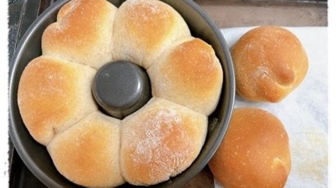 試行錯誤中です