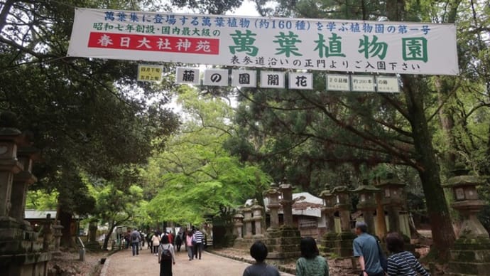 春日大社・萬葉植物園