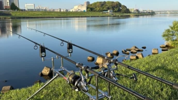 4月24日の鯉釣り