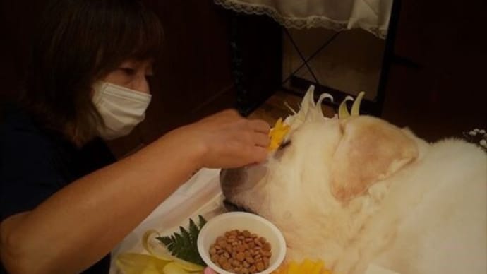 最後のお別れに