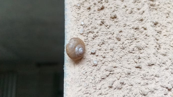 寒に耐える