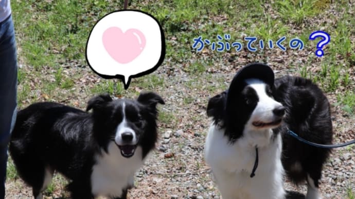 避暑地はこんなに近くにも