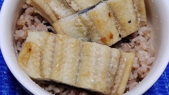 【03/09朝食】三重県産鰻白焼頭側、静岡山葵と塩でさっさっと済ませたんだね:P