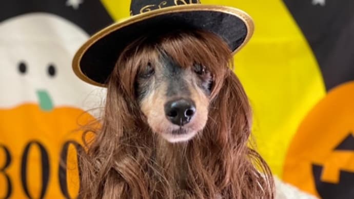 HappyHalloween