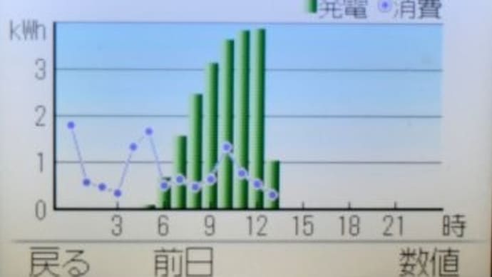 炎暑に耐えるか夏野菜