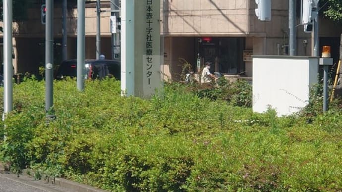 運命だ...