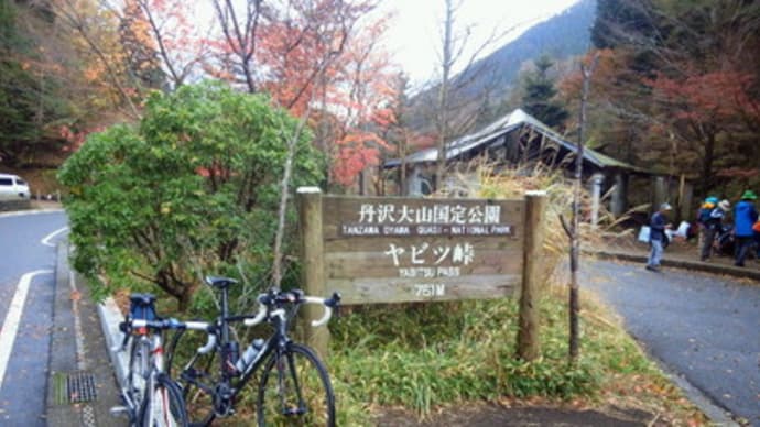 紅葉のヤビツ峠