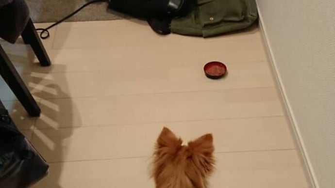 我慢。。